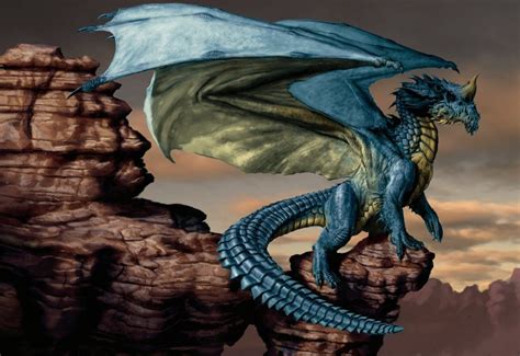 dragon azul - blazer azul